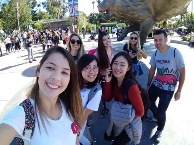 값진 경험이었던 스태포드 학원 및 인턴쉽 후기 후기 썸네일